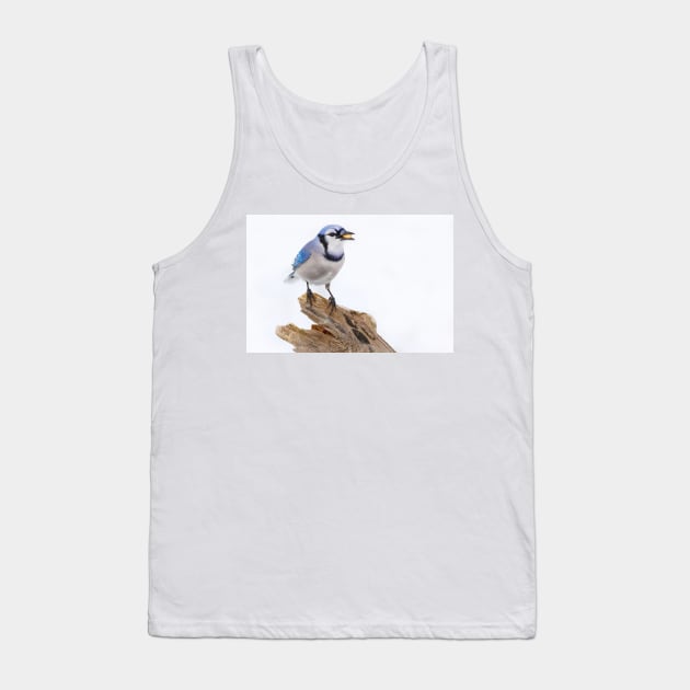 Blue on White - Blue jay Tank Top by Jim Cumming